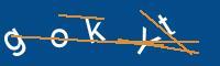 Captcha eingeben