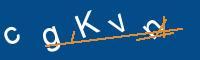 Captcha eingeben