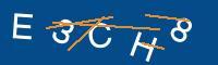 Captcha eingeben
