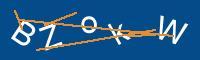 Captcha eingeben