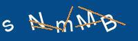 Captcha eingeben
