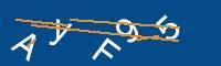 Captcha eingeben