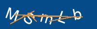 Captcha eingeben