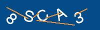 Captcha eingeben