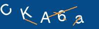 Captcha eingeben