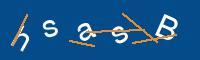 Captcha eingeben