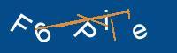 Captcha eingeben