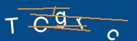 Captcha eingeben