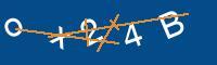 Captcha eingeben