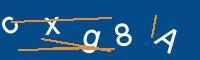 Captcha eingeben