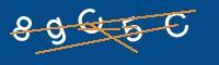 Captcha eingeben