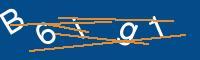 Captcha eingeben