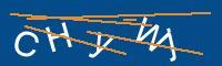 Captcha eingeben