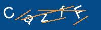 Captcha eingeben