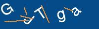 Captcha eingeben