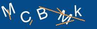 Captcha eingeben