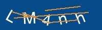 Captcha eingeben
