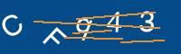 Captcha eingeben
