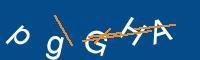 Captcha eingeben