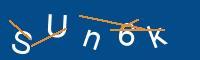 Captcha eingeben
