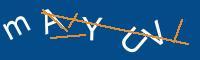 Captcha eingeben