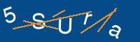 Captcha eingeben