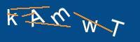 Captcha eingeben