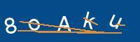 Captcha eingeben