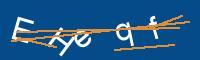 Captcha eingeben