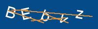 Captcha eingeben