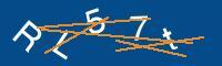 Captcha eingeben