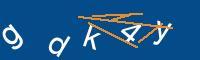 Captcha eingeben