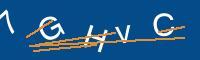 Captcha eingeben