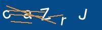Captcha eingeben