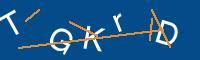 Captcha eingeben