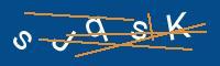 Captcha eingeben