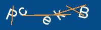 Captcha eingeben