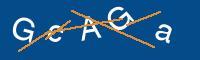 Captcha eingeben
