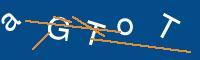 Captcha eingeben