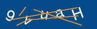 Captcha eingeben