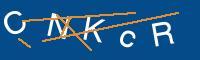 Captcha eingeben