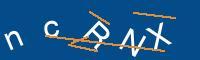 Captcha eingeben