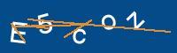Captcha eingeben