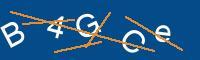Captcha eingeben