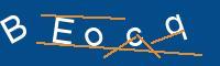 Captcha eingeben