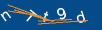Captcha eingeben