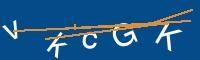 Captcha eingeben