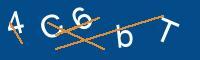 Captcha eingeben