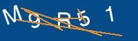 Captcha eingeben