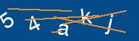 Captcha eingeben